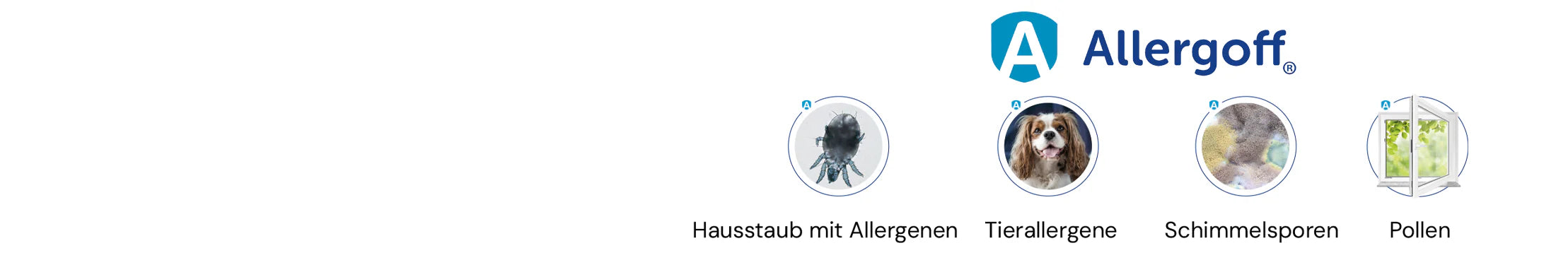 Allergoff