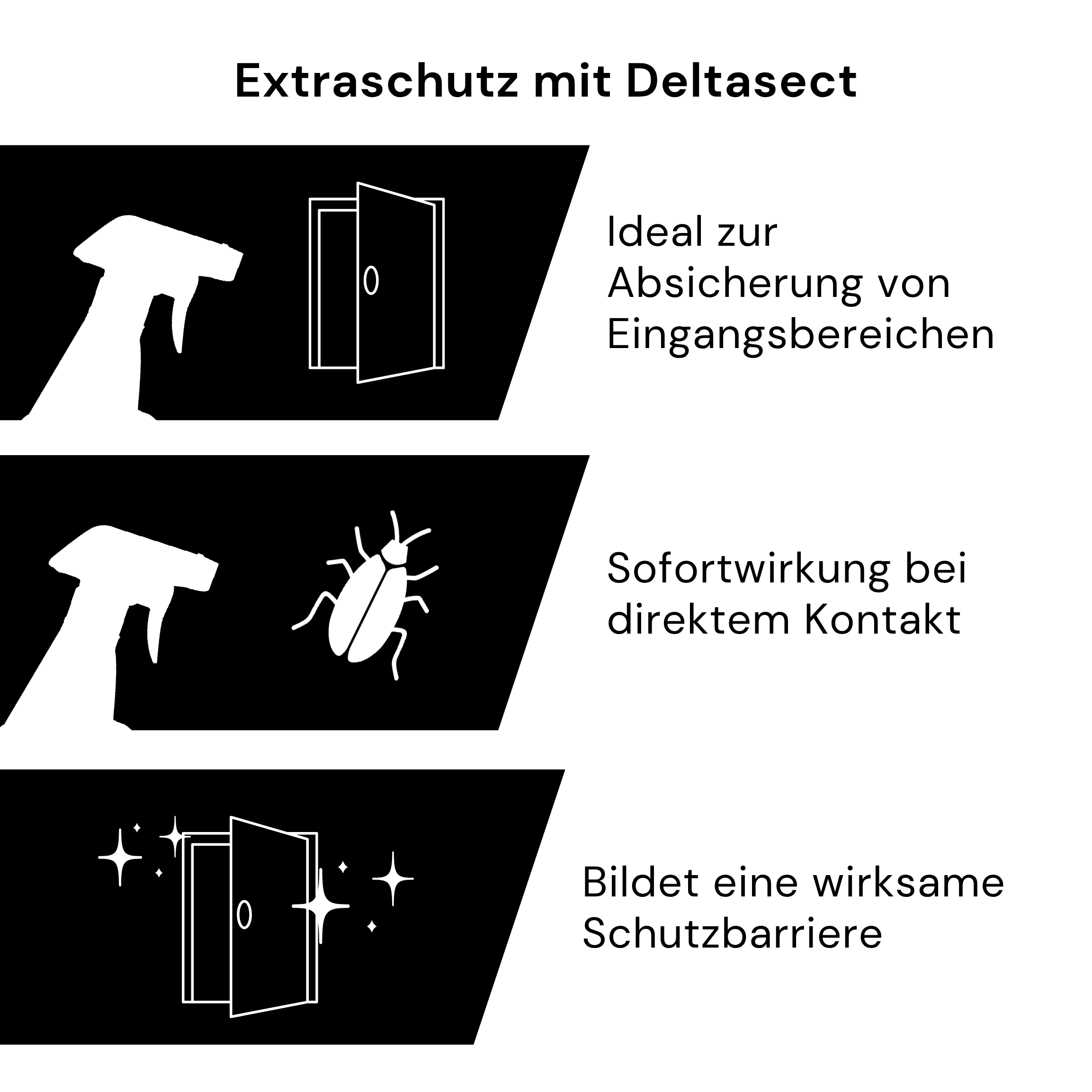 Kaeferling Pro Cockroach Set - Small