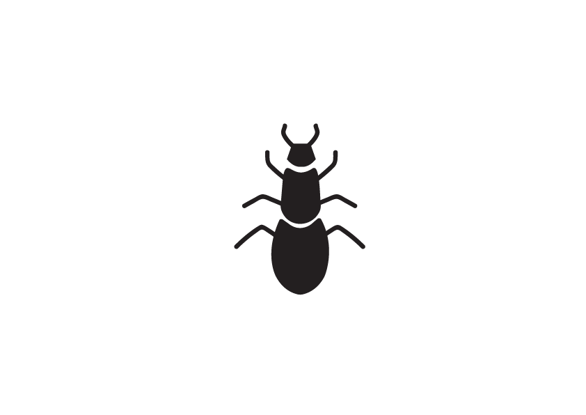 In diesem Bild sieht man ein schwarzes Icon einer Ameise auf transparentem Hintergrund. Das Symbol steht für die Kategorie „Ameisenbekämpfung“ und kann zur visuellen Darstellung von Produkten wie Ameisenfallen, Ködern oder Sprays genutzt werden.