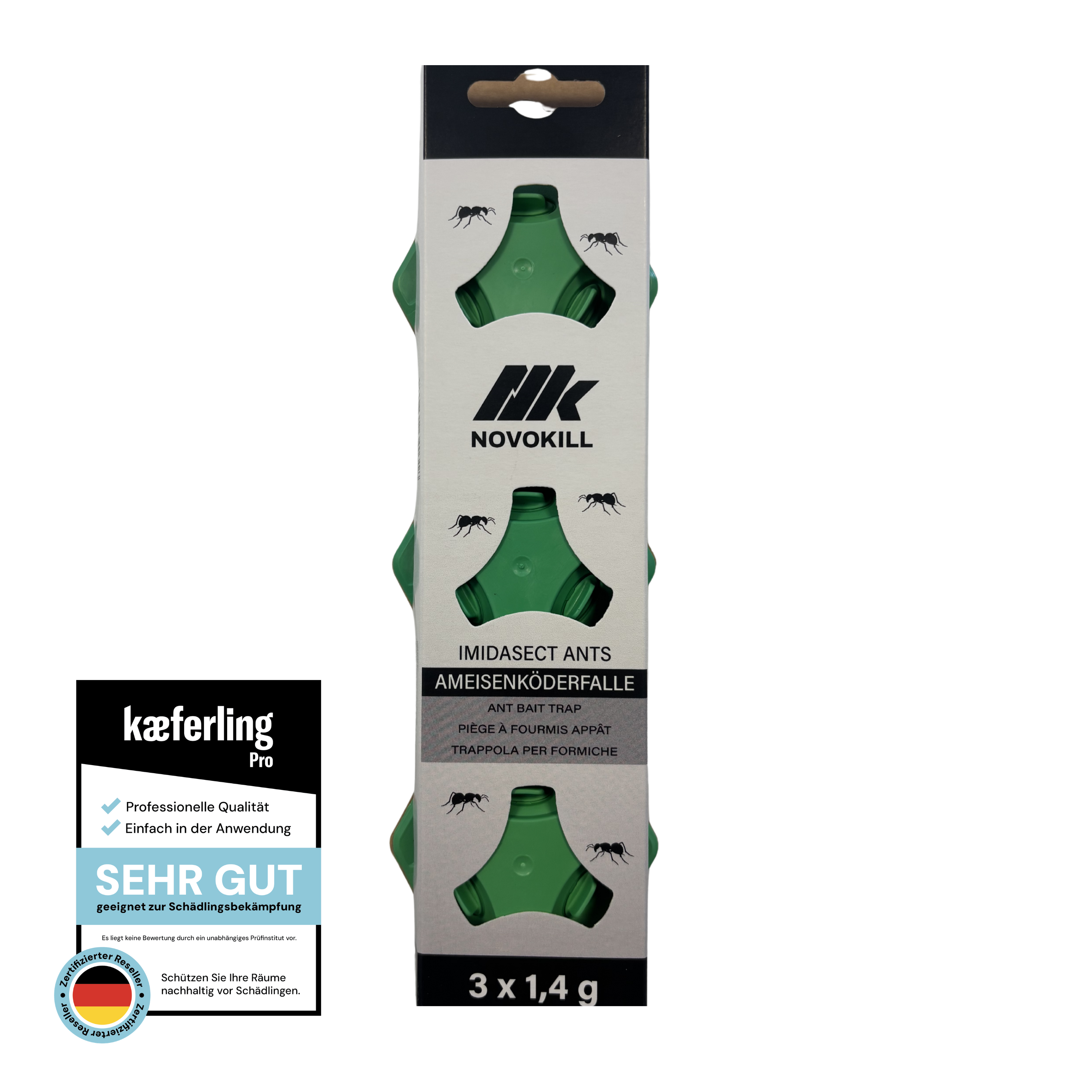 nk Imidasect Ameisenköderdose – Effektiv bei Tapinoma Magnum-Ameisen