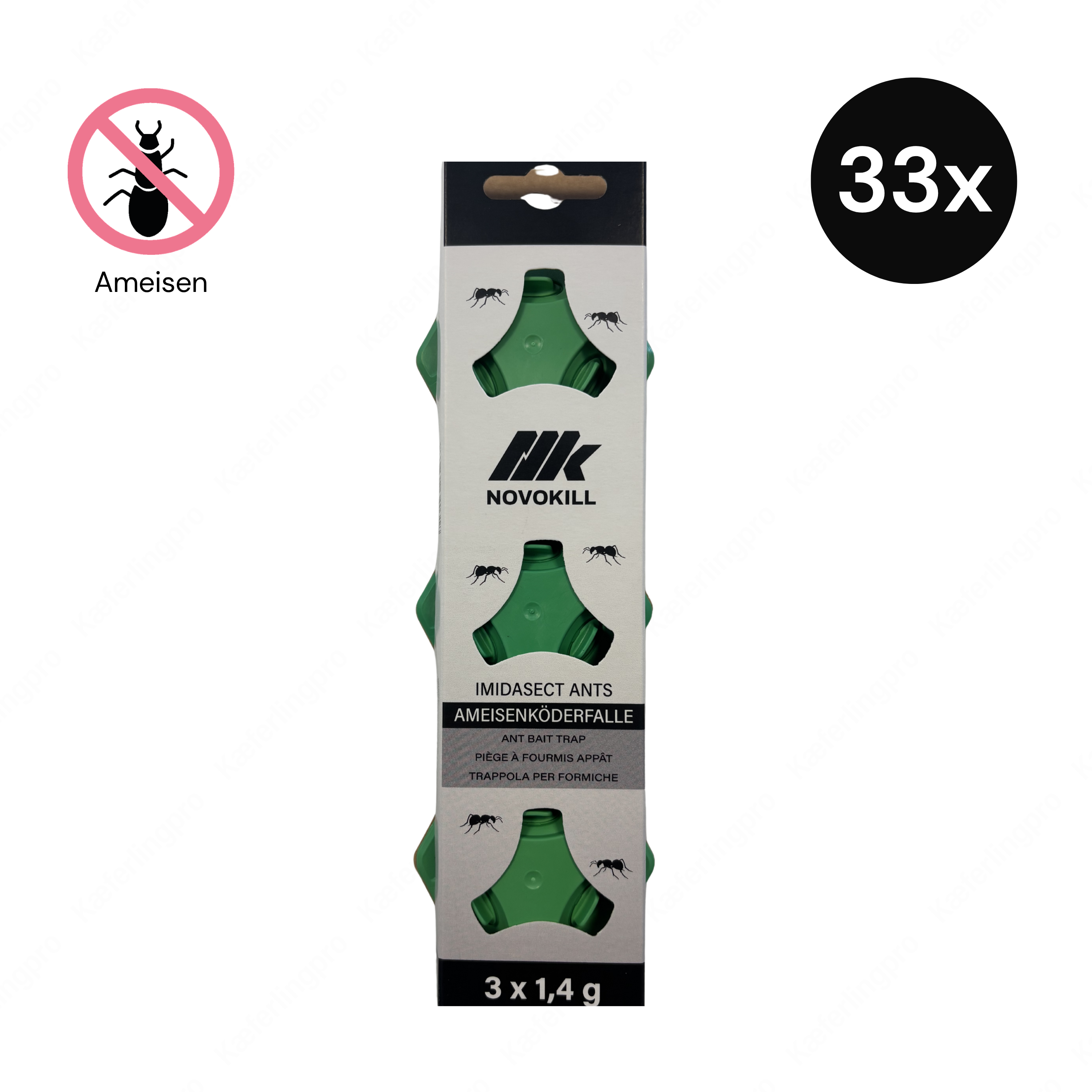 nk Imidasect Ameisenköderdose – Effektiv bei Tapinoma Magnum-Ameisen