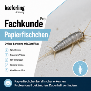 Kaeferling Academy Online-Kurs ‚Pro Fachkunde Papierfischchen‘ mit zehn Lektionen, praxisnahen Videos, PDF-Unterlagen, Wissens-Checks und einem Abschlusszertifikat; rechts ist ein Papierfischchen abgebildet.