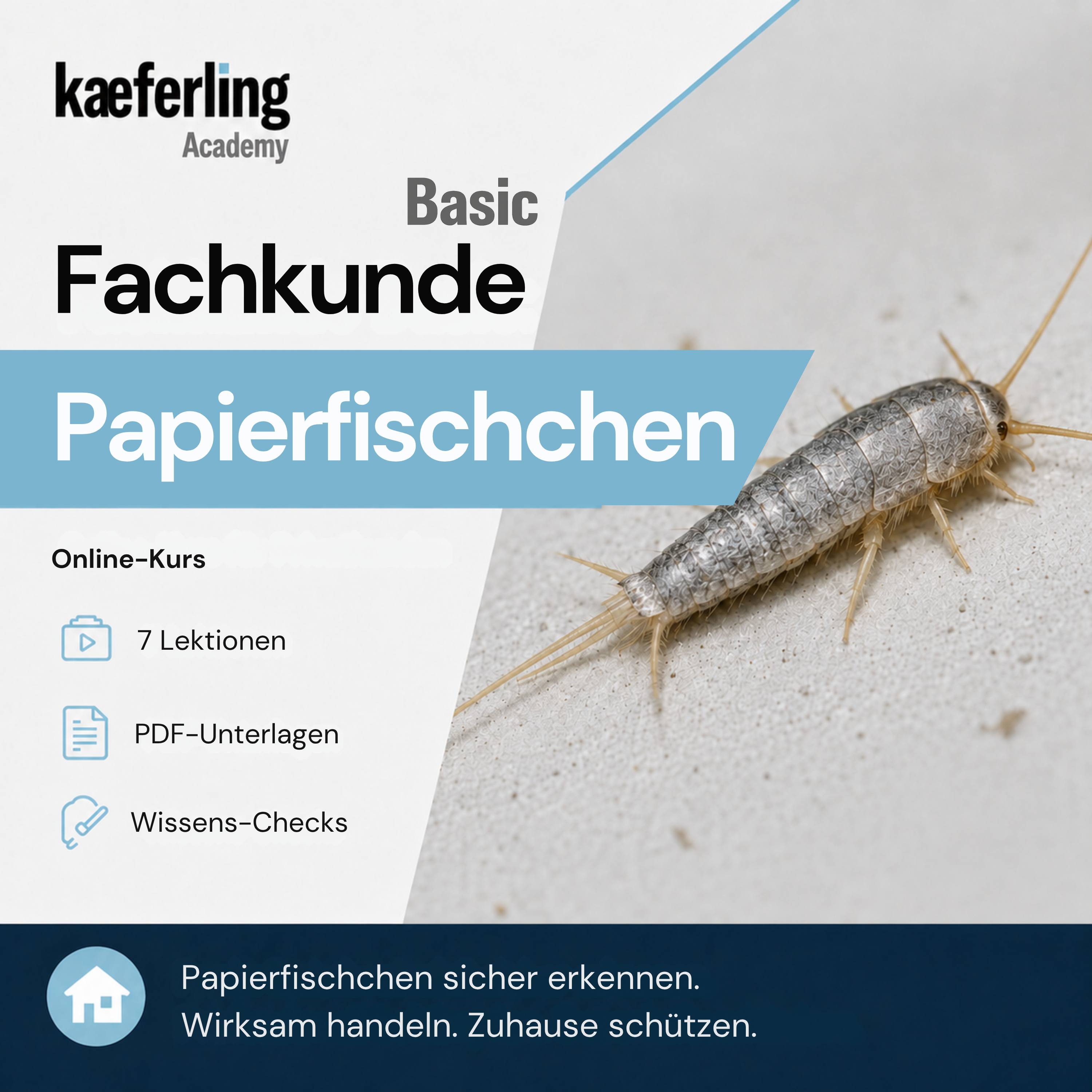 Fachkunde Basic: Papierfischchen – Online-Schulung