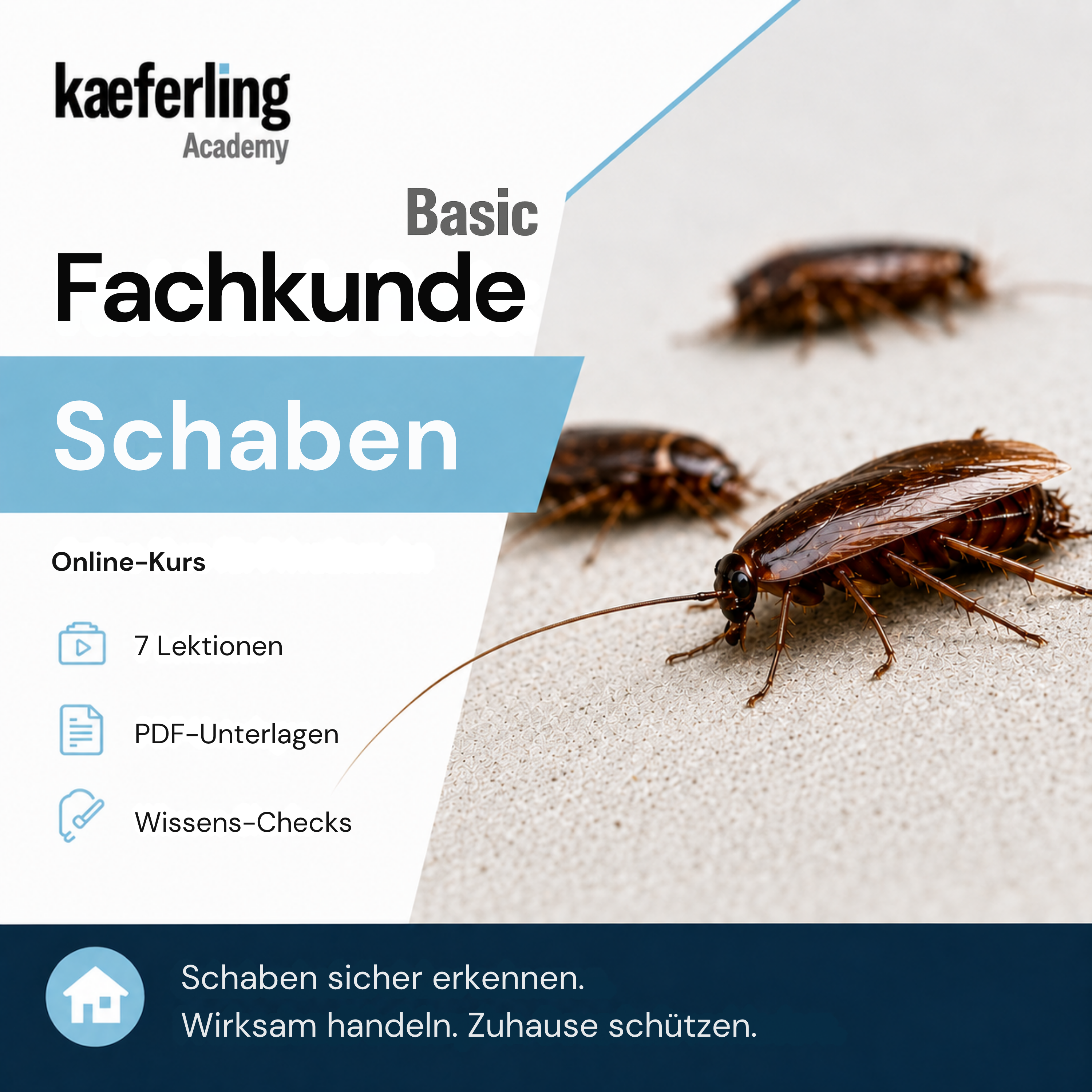 Fachkunde Basic: Schaben – Online-Schulung