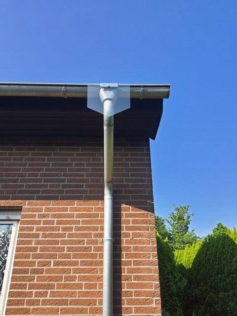 Das Bild zeigt die Außenansicht eines Hauses mit roter Ziegelwand und einem Fallrohr, an dem eine transparente Mardersperre unterhalb der Dachrinne montiert ist. Diese Vorrichtung verhindert, dass Marder oder andere Tiere über das Rohr aufs Dach gelangen. Durch das klare Material bleibt die Sperre optisch dezent, während sie zuverlässigen Schutz bietet. Eine einfache und langlebige Lösung für Hausbesitzer, um Schäden durch Marder oder Katzen zu verhindern.