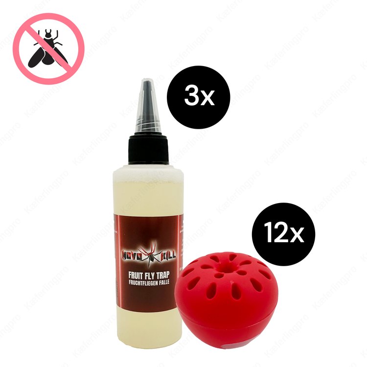 Schwarze Klebefalle 48 Stück – extra starke Leimfallen zur Bekämpfung von Mäusen, Schaben und anderen kriechenden Schädlingen. Giftfreie und hygienische Lösung, ideal für Haushalt, Gastronomie, Lager und Lebensmittelbetriebe.