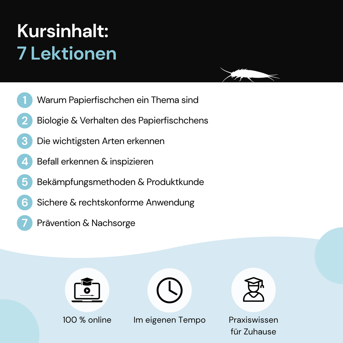 Kursinhalt des Schulungsvideos für Papierfischchen