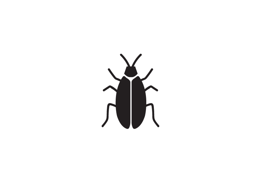 Das Bild zeigt ein minimalistisches Vektorsymbol einer Kakerlake auf transparentem Hintergrund. Kakerlaken zählen zu den widerstandsfähigsten Hygieneschädlingen weltweit und treten besonders häufig in Küchen, Lagerräumen und Gastronomiebetrieben auf. Das Icon stellt den Schädling in stilisierter Form dar und eignet sich hervorragend für Schulungen, Infografiken, Fachartikel oder visuelle Anleitungen im Bereich Schädlingsbekämpfung. Durch das klare, neutrale Design ist es vielseitig einsetzbar.