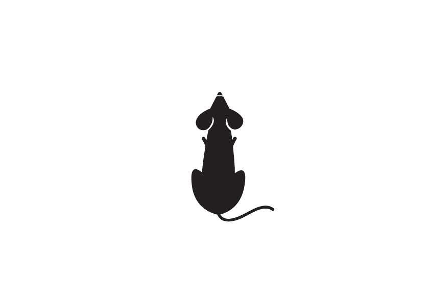 Das Bild zeigt ein schlichtes Vektorsymbol einer Ratte auf transparentem Hintergrund. Ratten zählen zu den bedeutendsten Gesundheitsschädlingen, da sie Krankheiten übertragen und erhebliche Schäden in Lagern, Küchen und Gebäuden anrichten können. Das Icon stellt das Tier in vereinfachter Form dar und eignet sich ideal für Präsentationen, Infografiken oder Lehrmaterialien im Bereich Schädlingsbekämpfung. Durch die klare, neutrale Gestaltung ist es universell einsetzbar