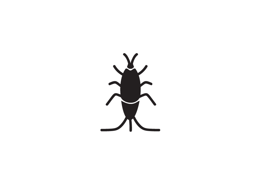 Das Bild zeigt ein stilisiertes Symbol eines Silberfischs auf transparentem Hintergrund. Silberfische gehören zu den häufigsten Hygieneschädlingen in Wohnungen und Gebäuden und sind bekannt für ihre Vorliebe für Feuchtigkeit sowie stärkehaltige Materialien. Das klare Vektor-Design eignet sich ideal für Infografiken, Schulungen und Präsentationen im Bereich Schädlingsbekämpfung. Durch die neutrale Gestaltung ist das Icon vielseitig einsetzbar – ob für digitale Medien, Fachartikel oder visuelle Anleitungen.
