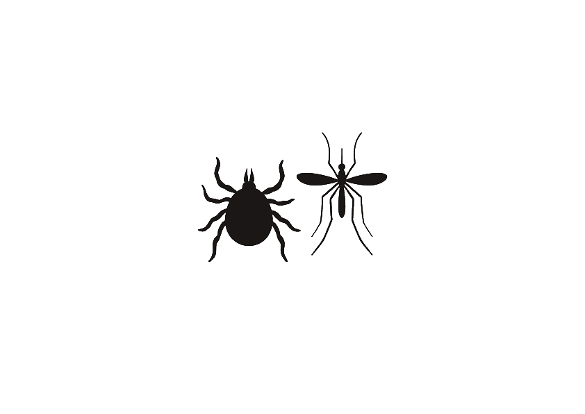Das Bild zeigt eine stilisierte Symbolgrafik von zwei Schädlingen: einer Zecke (links) und einer Mücke (rechts). Die Darstellung eignet sich als Icon oder Piktogramm für Themen wie Insektenabwehr, Schädlingsbekämpfung, Zeckenschutz oder Prävention gegen übertragbare Krankheiten. Der transparente Hintergrund ermöglicht den flexiblen Einsatz in Produktabbildungen, Infografiken oder Werbematerialien.