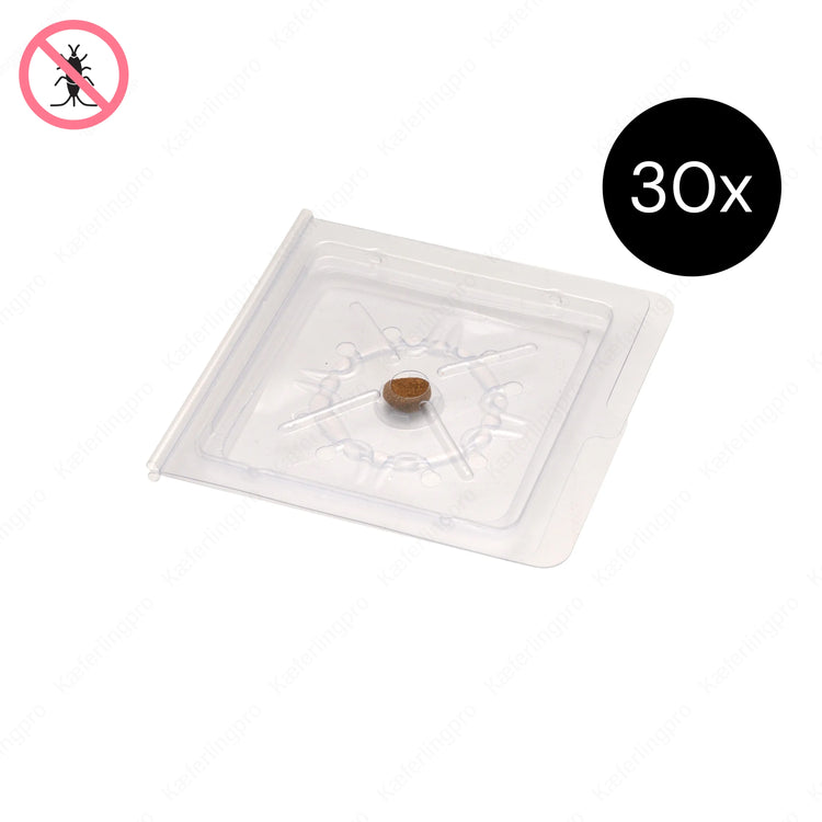 Das Bild zeigt eine transparente Klebefalle mit Lockstofftablette, die speziell zur Bekämpfung von Silberfischen entwickelt wurde. Die Falle lockt die Insekten zuverlässig an und hält sie sicher auf der Klebefläche fest. Sie ist völlig giftfrei, geruchlos und eignet sich ideal für den Einsatz in Küche, Bad, Schlafzimmer oder Vorratsräumen. Durch das 30er-Set ist eine langfristige Überwachung und Bekämpfung von Silberfischen möglich.