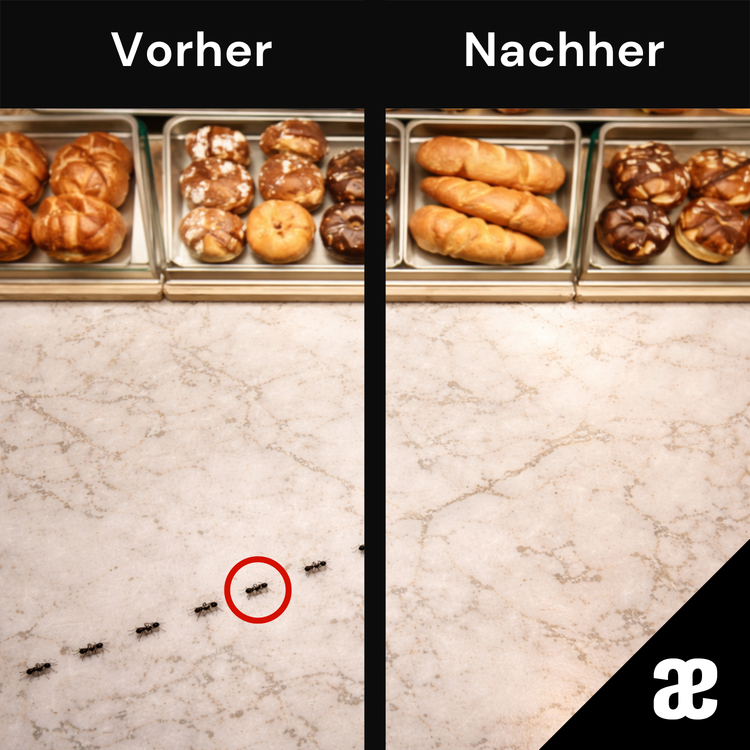Vorher-nachher-Bild von Ameisenbefall in einer Bäckerei nach Schädlingsbekämpfung