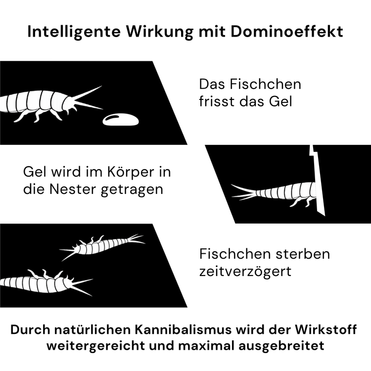 Infografik zur Papierfischchenbekämpfung mit Dominoeffekt durch Gelköder